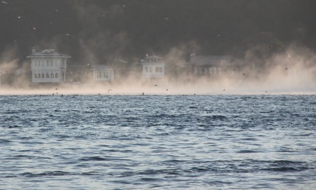 Fotoğraflarla 'İstanbul'un Simgeleri' 73