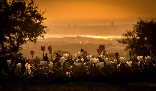 Fotoğraflarla 'İstanbul'un Simgeleri' 6