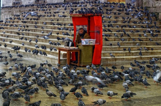 Fotoğraflarla 'İstanbul'un Simgeleri' 89