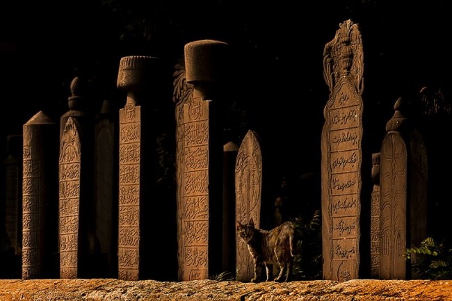 Fotoğraflarla 'İstanbul'un Simgeleri' 9
