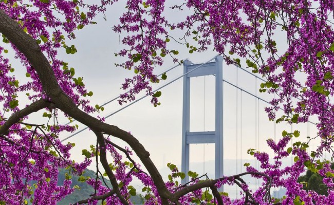 Fotoğraflarla 'İstanbul'un Simgeleri' 48