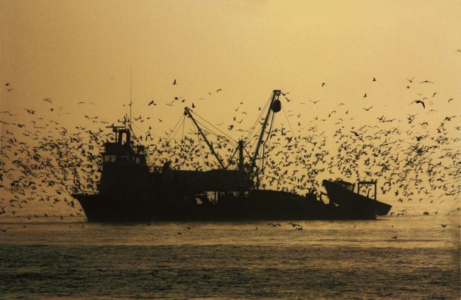 Fotoğraflarla 'İstanbul'un Simgeleri' 12