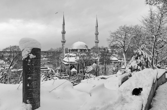 Fotoğraflarla 'İstanbul'un Simgeleri' 56