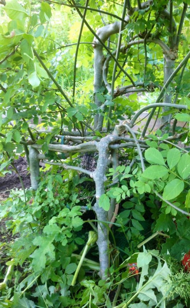 Sandalyelerin Gepetto Usta'sı! 2