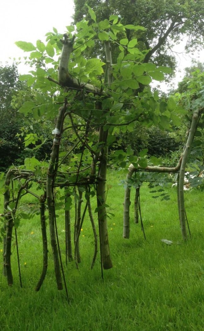 Sandalyelerin Gepetto Usta'sı! 4