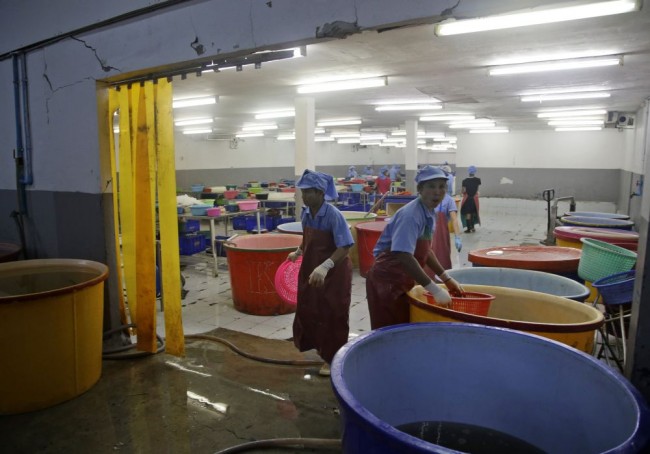 Tayland'da karides işçileri kölelik koşullarında çalışıyor 7