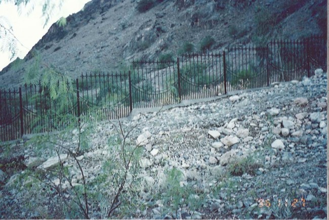 Usame bin Ladin'in 19 yıl sonra ortaya çıkan fotoğrafları 16