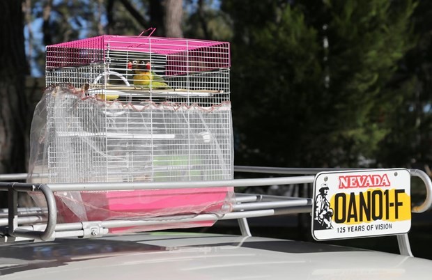 Murat 124 efsanesi sürüyor! 4