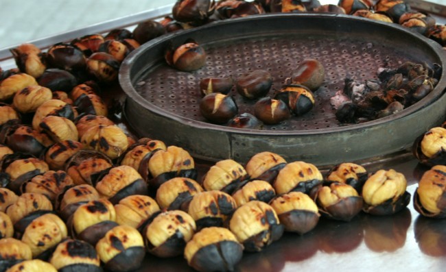 Kış şifası kestane 1