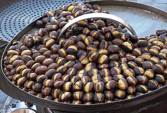 Kış şifası kestane 3