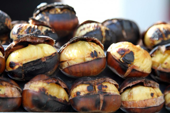 Kış şifası kestane 6