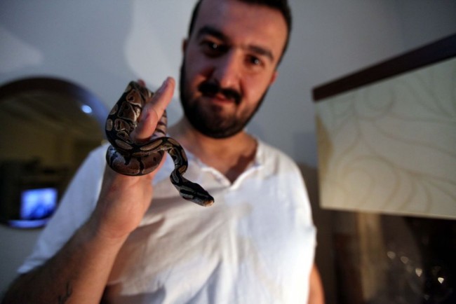 Kızı istedi diye eve piton aldı! 4