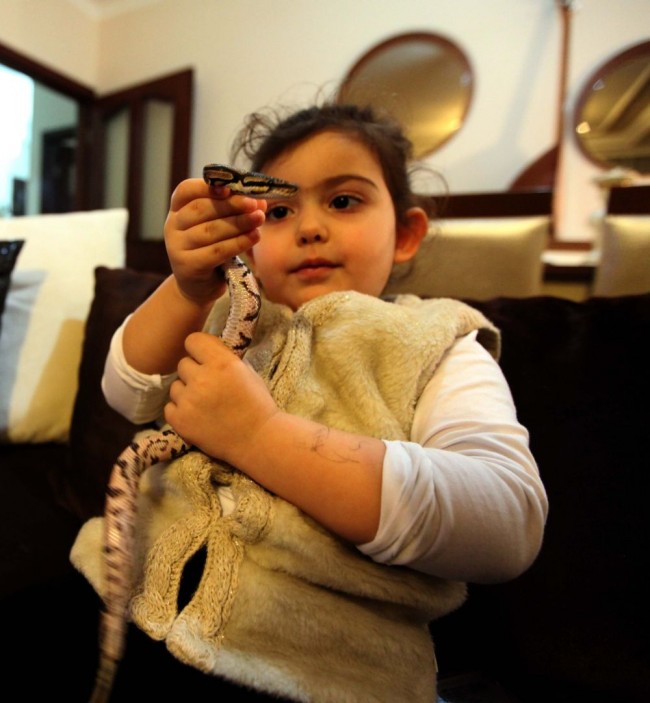 Kızı istedi diye eve piton aldı! 2