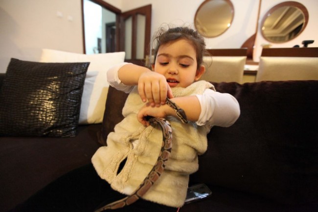 Kızı istedi diye eve piton aldı! 7