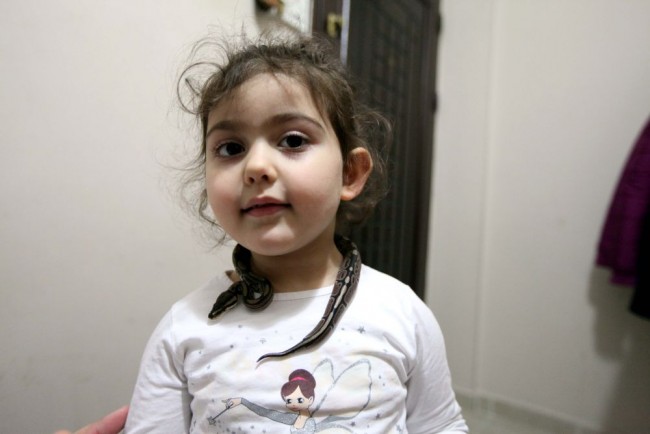 Kızı istedi diye eve piton aldı! 12