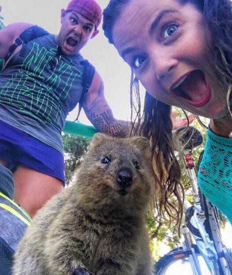 2015 yılında hayvanlarla çekilen en iyi 'selfie'ler 7