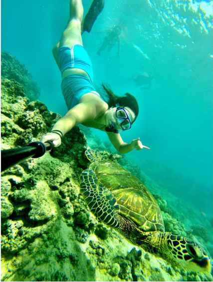 2015 yılında hayvanlarla çekilen en iyi 'selfie'ler 2