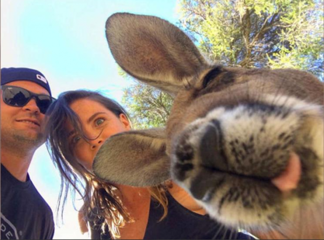 2015 yılında hayvanlarla çekilen en iyi 'selfie'ler 5