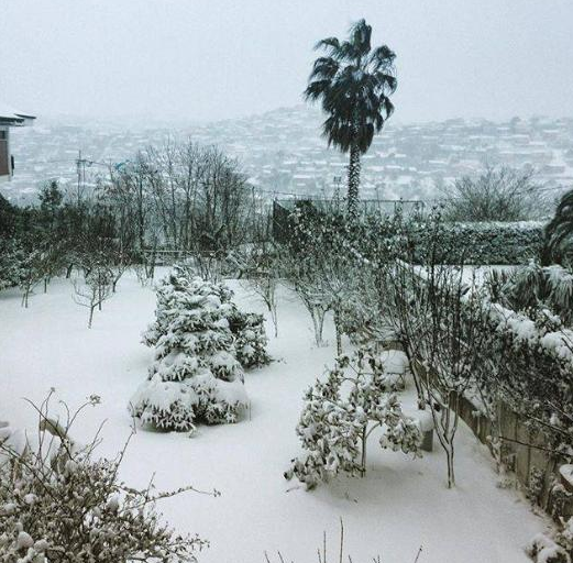 Instagram'da ünlülerin kar fotoğrafları 3