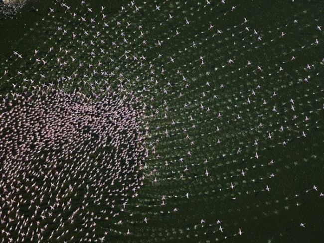 National Geographic'ten en iyi seyahat fotoğrafları 11