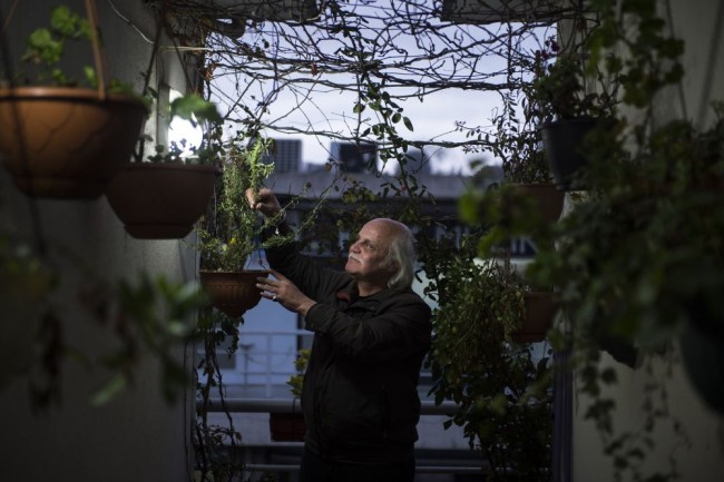 Unkapanı Plakçılar Çarşısı'nda in cin top atıyor 11