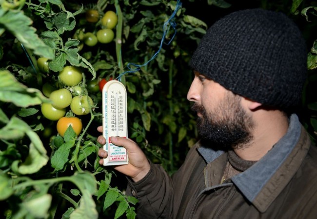 Antalya'da seracılardan 'don nöbeti' 2