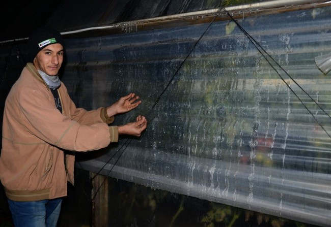 Antalya'da seracılardan 'don nöbeti' 3