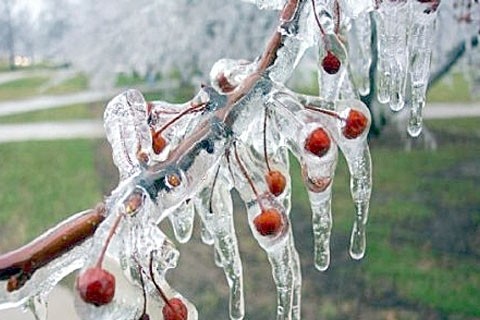 Antalya'da seracılardan 'don nöbeti' 6