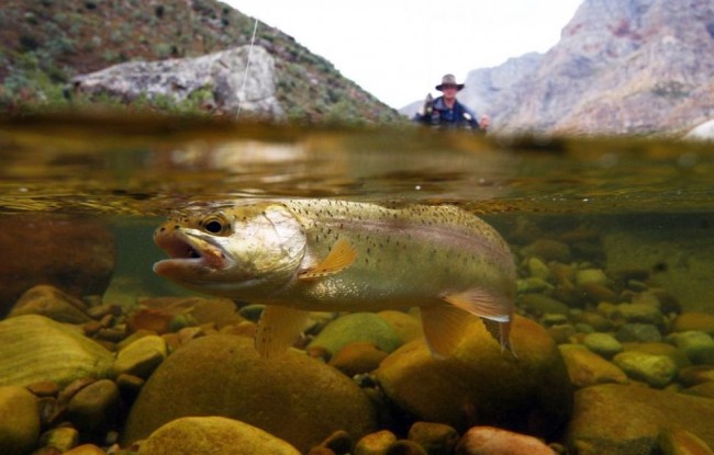 Suyun altıyla üstü aynı karede 30