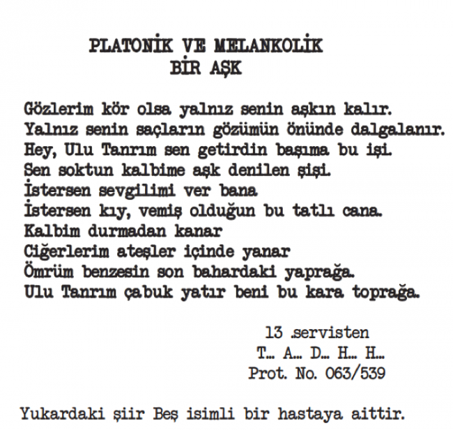 Akıl hastanesinden 'deli' şiirler 14