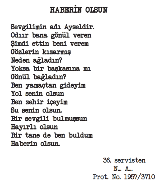 Akıl hastanesinden 'deli' şiirler 15