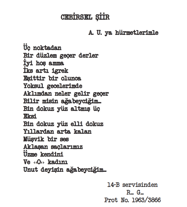 Akıl hastanesinden 'deli' şiirler 4