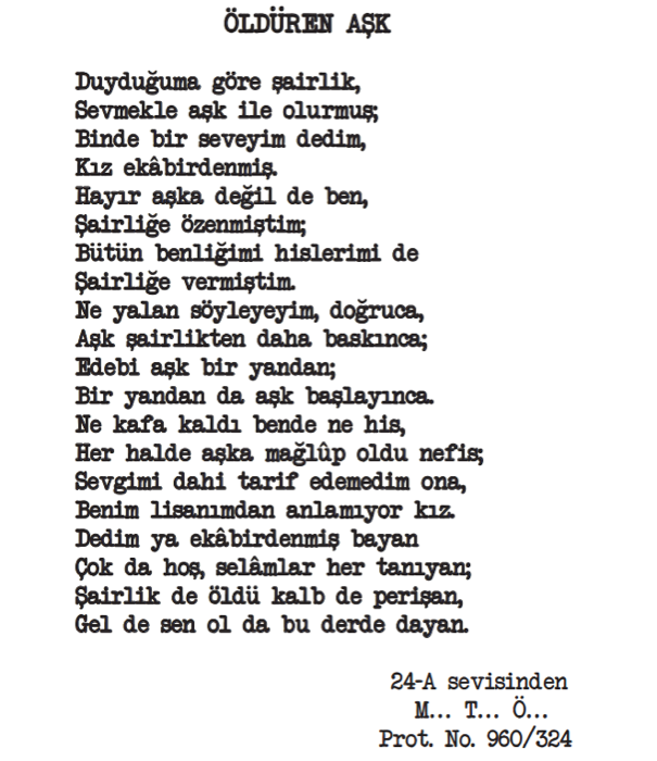 Akıl hastanesinden 'deli' şiirler 7