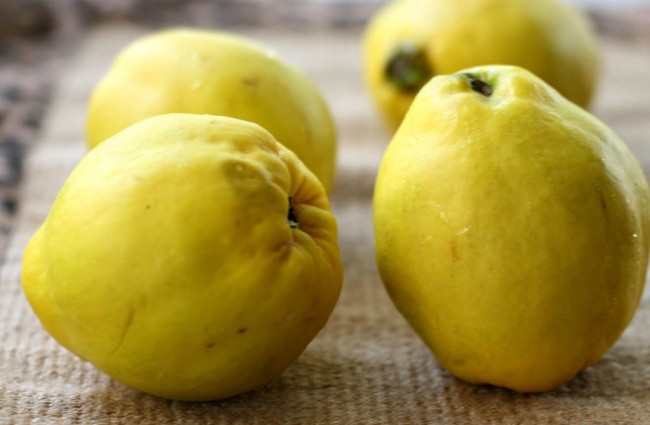 Gençlik iksiri ayva 1