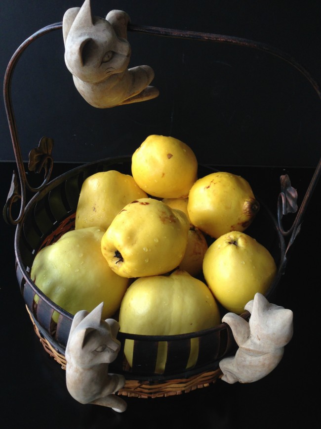 Gençlik iksiri ayva 10