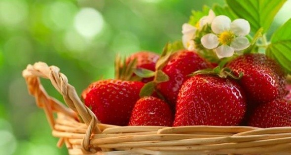 Bu gıdaları sofranızdan uzak tutun 5