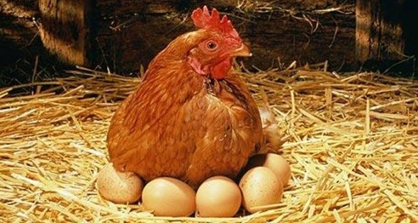 Bu gıdaları sofranızdan uzak tutun 8