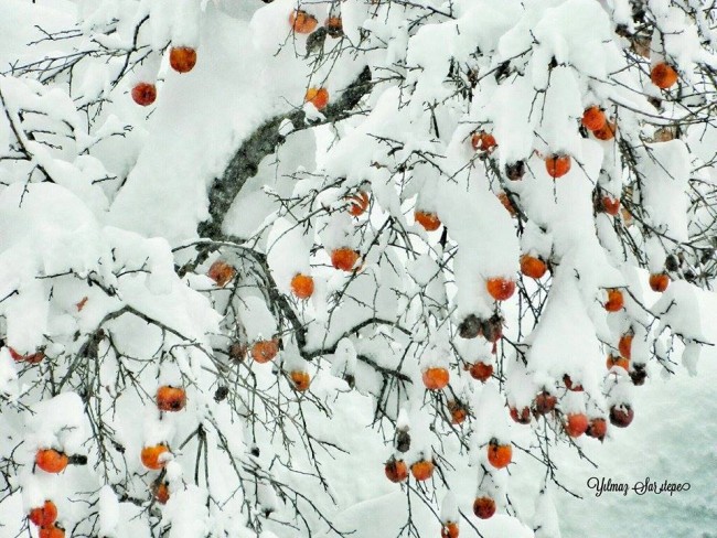 Kartpostallık kareler 7