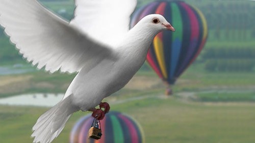 Reuters işe güvercinlerle başladı 1