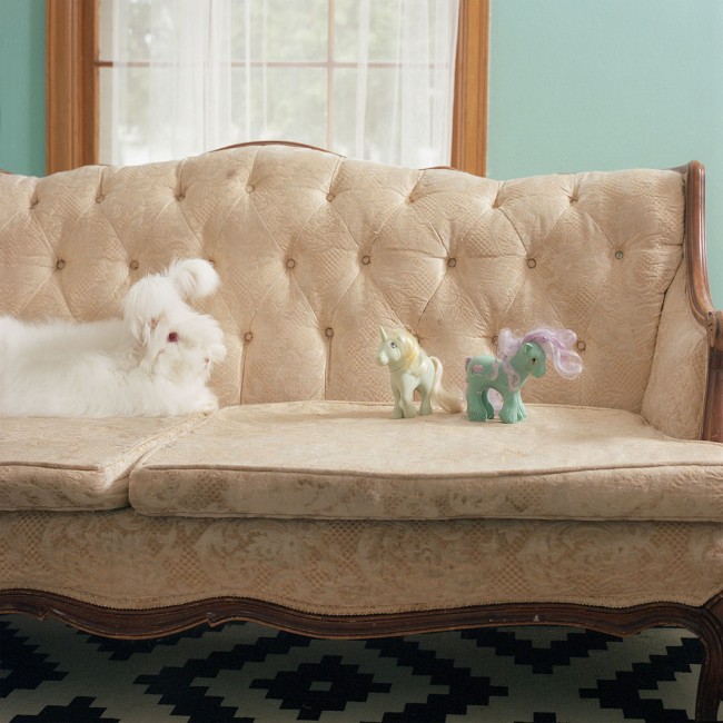 Vahşi hayvanlar evcil olursa... 7