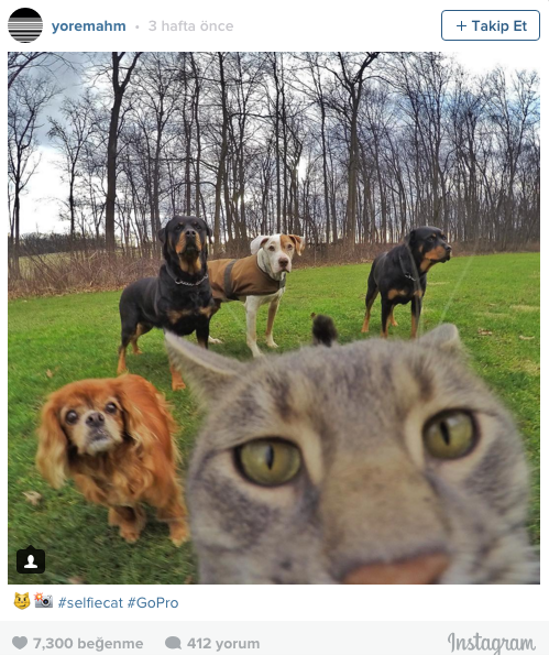 İnstagramın yeni yıldızı 6