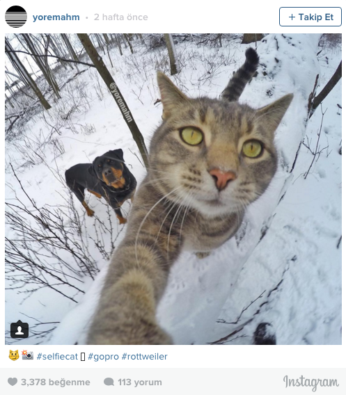 İnstagramın yeni yıldızı 5