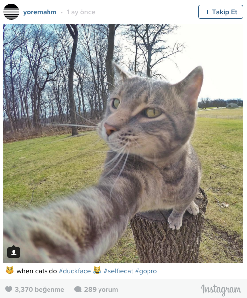 İnstagramın yeni yıldızı 4