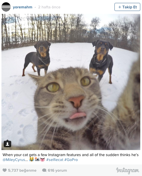 İnstagramın yeni yıldızı 3