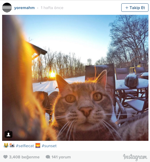 İnstagramın yeni yıldızı 2