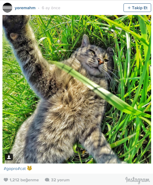 İnstagramın yeni yıldızı 1