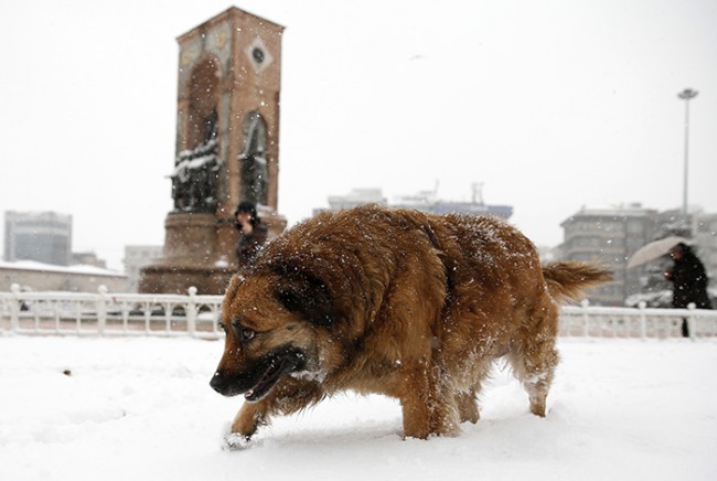 Kabus yok, kar keyfi verelim 19