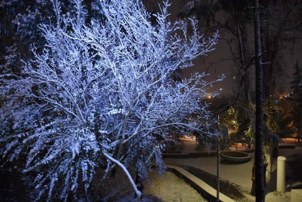 Kabus yok, kar keyfi verelim 2