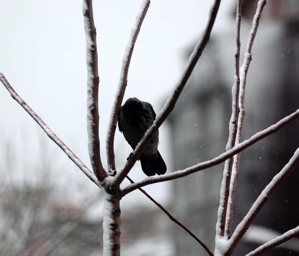 Yoksulluk içimizde 18