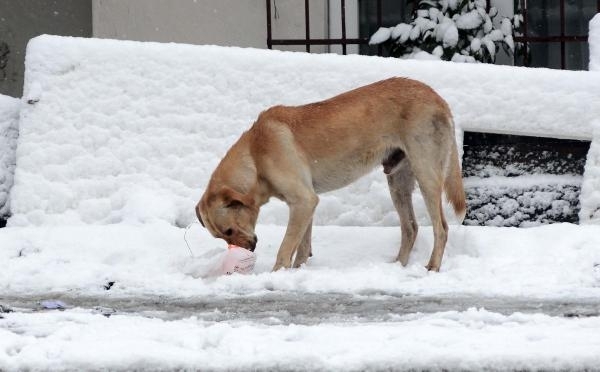 Yoksulluk içimizde 19
